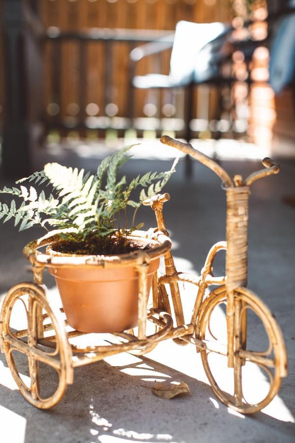 Wynkoop At Carlton: Taste Of Europe, Walk To Wineries, Dog Friendly Villa Ngoại thất bức ảnh